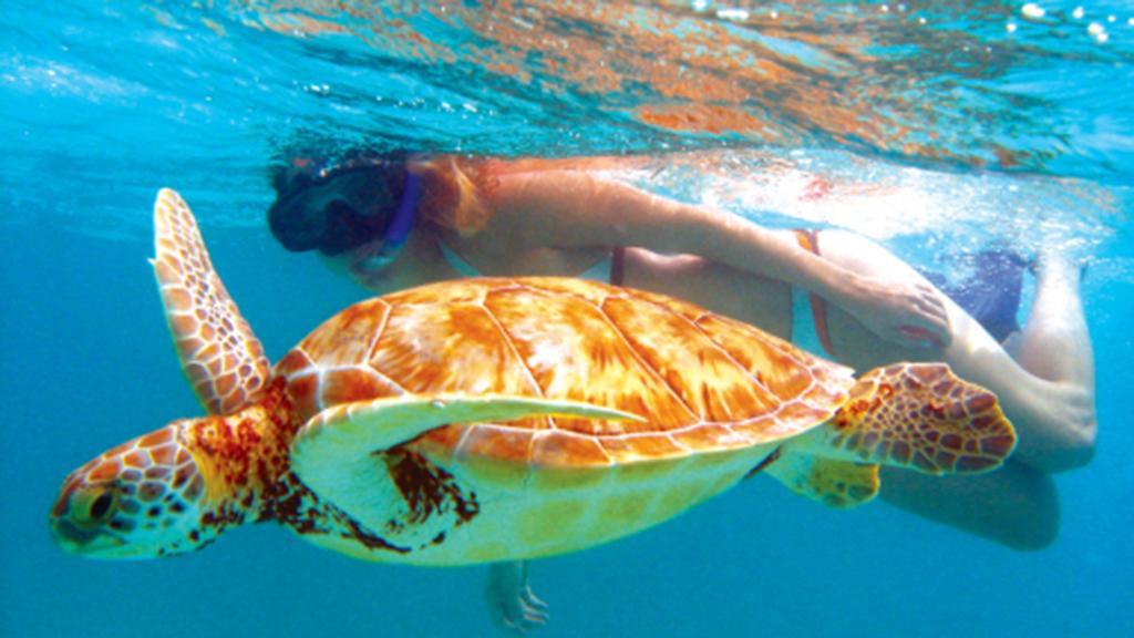 Anema Wellness Villa & Spa Gili Lombok - Diving Center Padi Tanjung  Exteriör bild